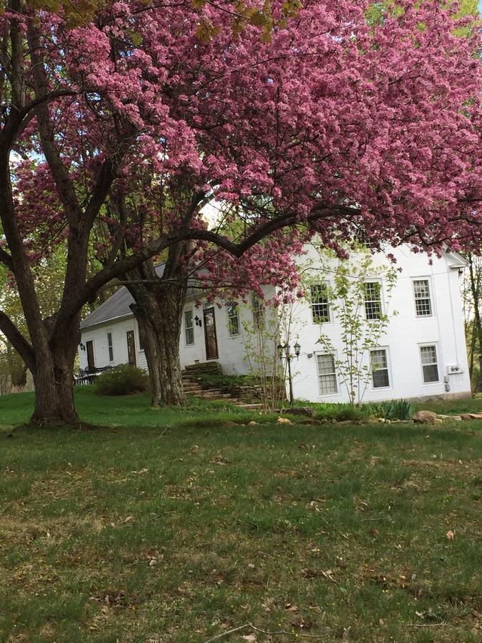Innkeeper'S Place B&B Stafford Luaran gambar